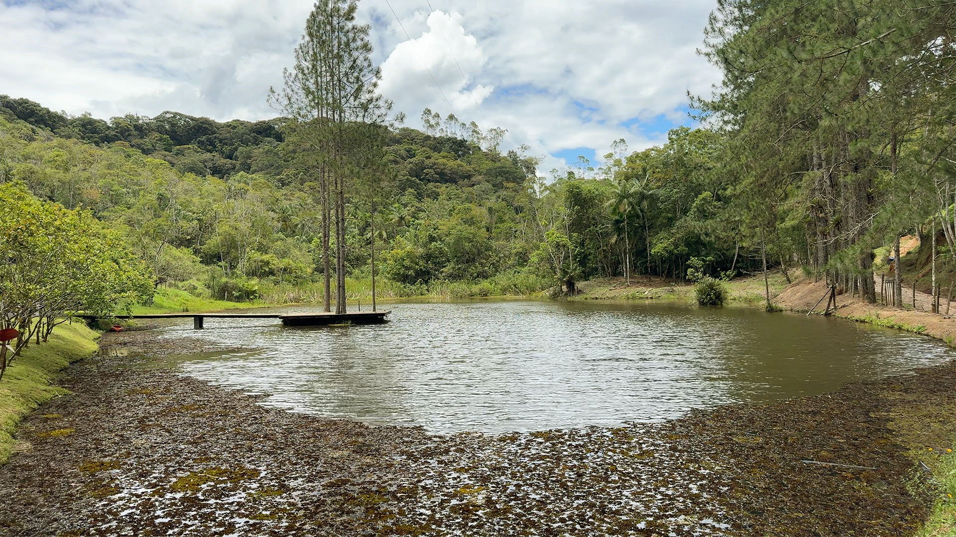 Lago particular do Recanto França com água cristalina para pesca e recreação